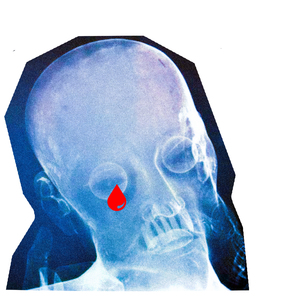 成人免费观看一区二区
