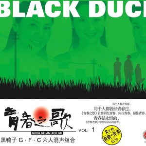 成人免费观看一区二区
