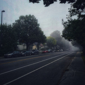 成人免费观看一区二区
