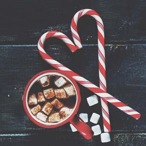 成人免费观看一区二区
